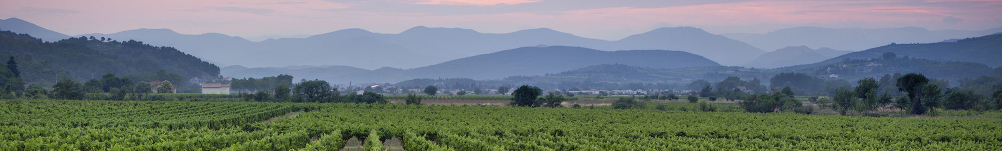 Ancillary Service Endorsements